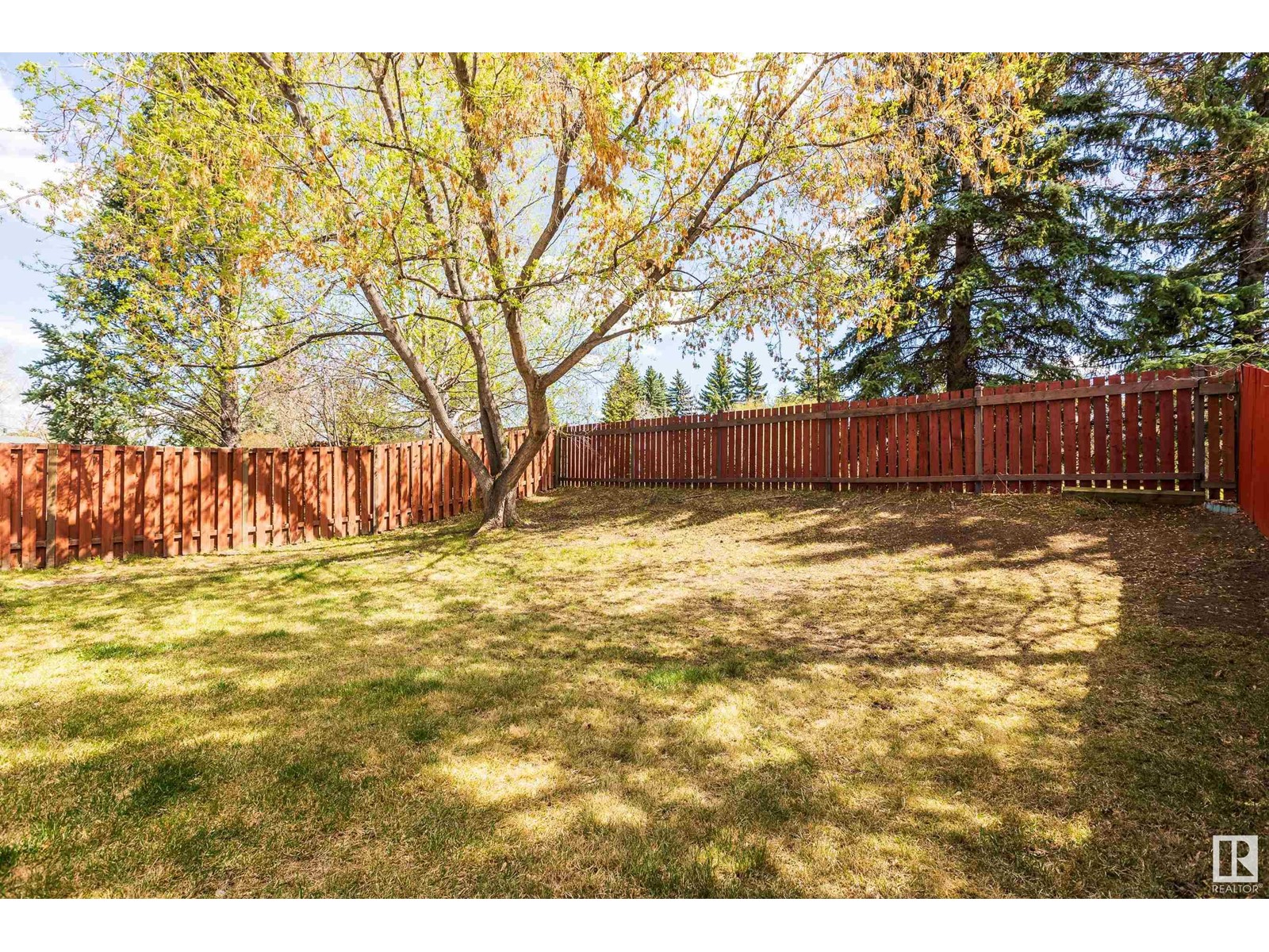 51 Dayton Cr, St. Albert, Alberta  T8N 4X7 - Photo 37 - E4435162