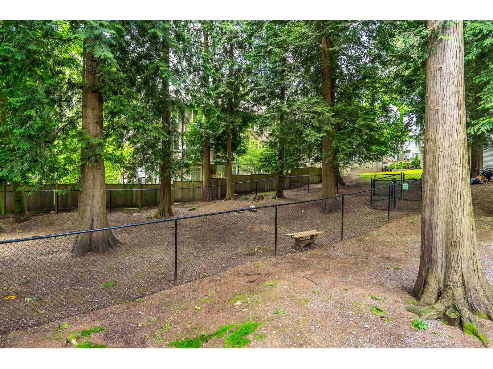 36 13864 Hyland Road, Surrey, British Columbia  V3W 2C3 - Photo 34 - R2999722