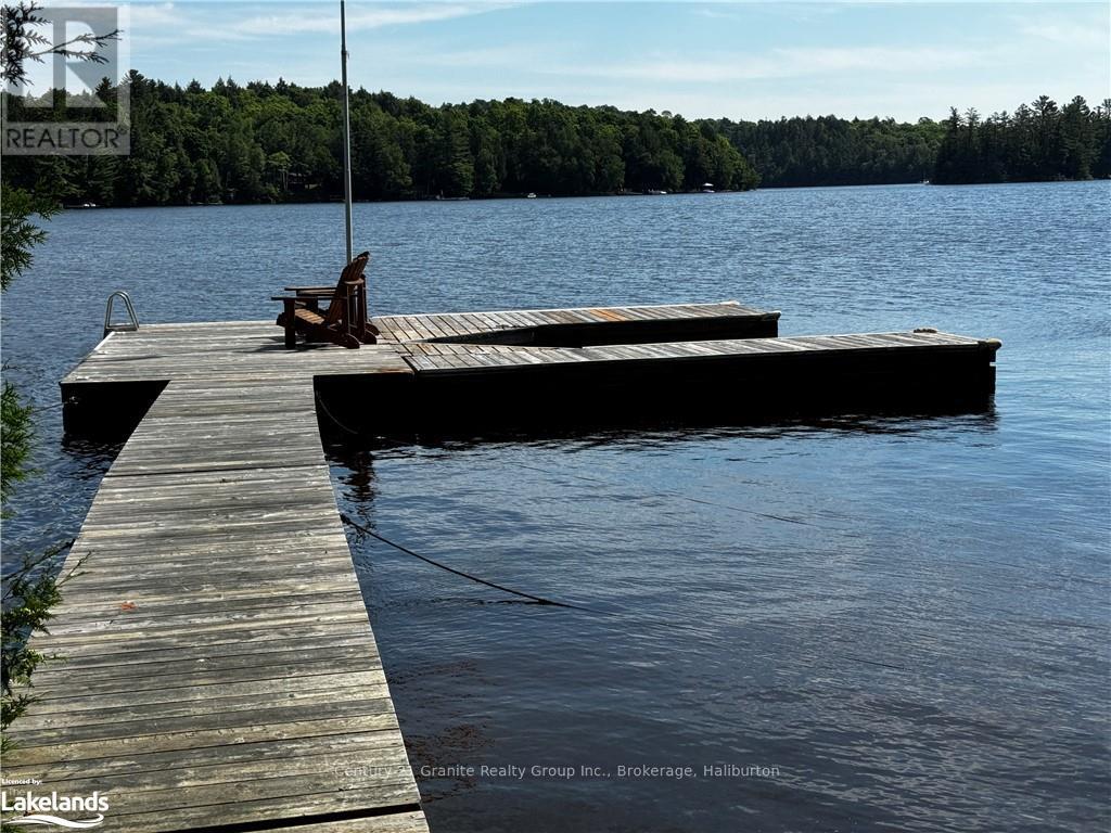 1016 Pegg Drive, Dysart Et Al (Havelock), Ontario  K0M 1S0 - Photo 40 - X10436823