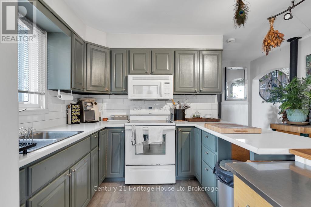 147 Sydenham Street, Woodstock, Ontario  N4S 7B7 - Photo 6 - X12133824