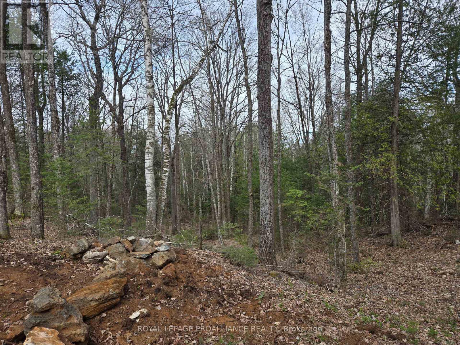 2060 Smith Road, North Frontenac, Ontario  K0H 1C0 - Photo 20 - X12122276
