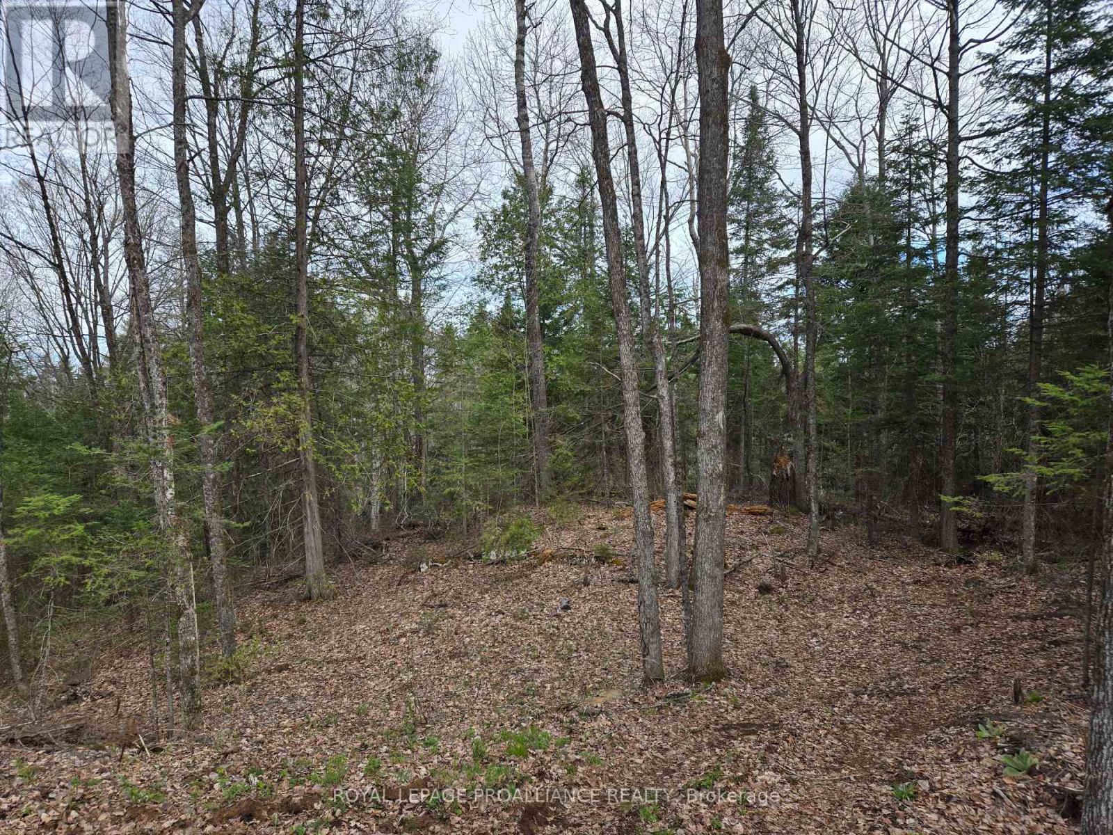 2060 Smith Road, North Frontenac, Ontario  K0H 1C0 - Photo 5 - X12122276