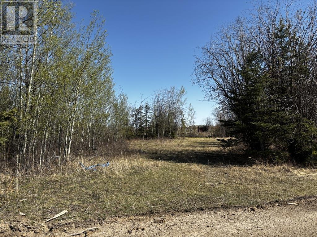 Lot 1 219 A Road, Goodlow, British Columbia  V1G 4E8 - Photo 8 - R2997593