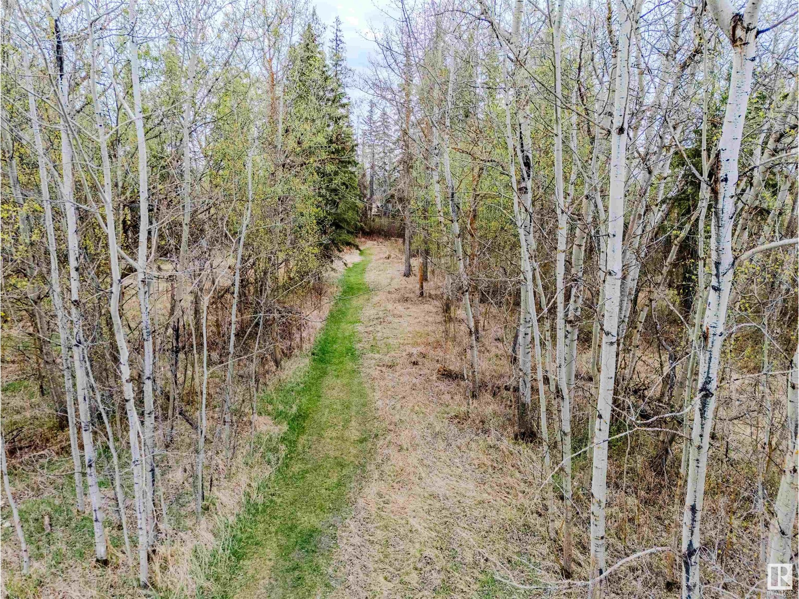 51532 Rge Road 214, Rural Strathcona County, Alberta  T8E 1H2 - Photo 21 - E4435198