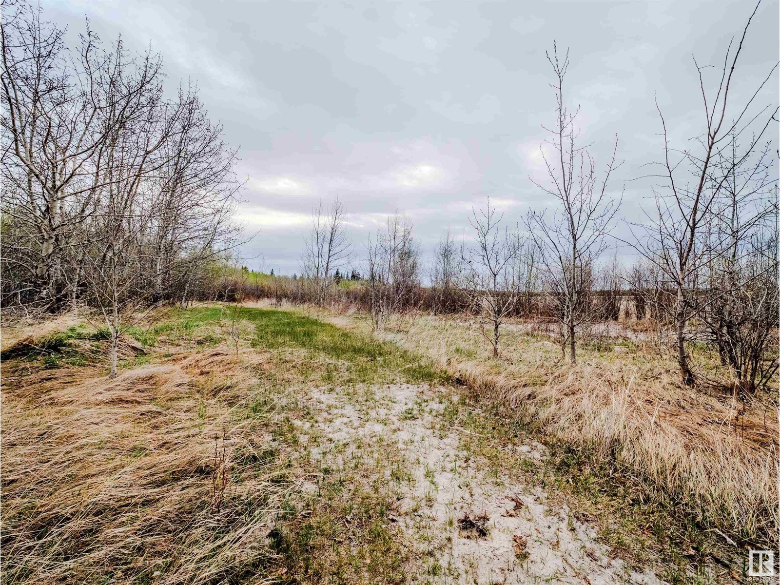 51532 Rge Road 214, Rural Strathcona County, Alberta  T8E 1H2 - Photo 30 - E4435198