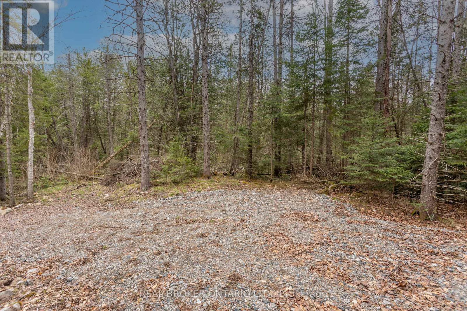 1272 Ursa Road, Highlands East, Ontario  K0M 1R0 - Photo 5 - X12133862