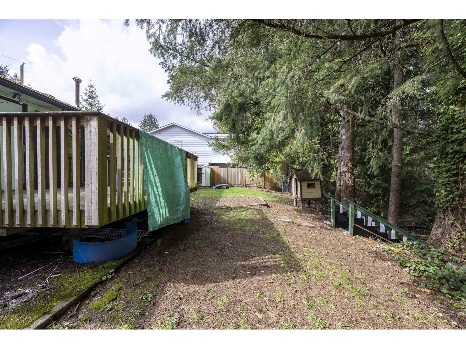 15523 105a Avenue, Surrey, British Columbia  V3R 1S7 - Photo 20 - R2999937