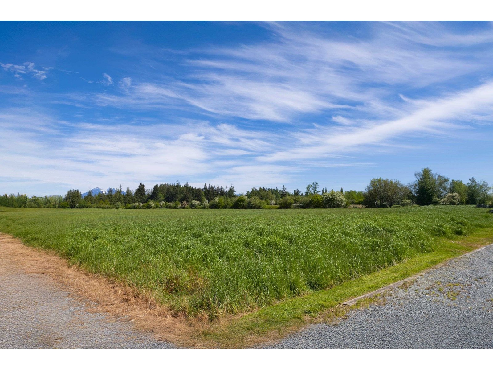 22285 64 Avenue, Langley, British Columbia  V2Y 2N8 - Photo 37 - R3000216