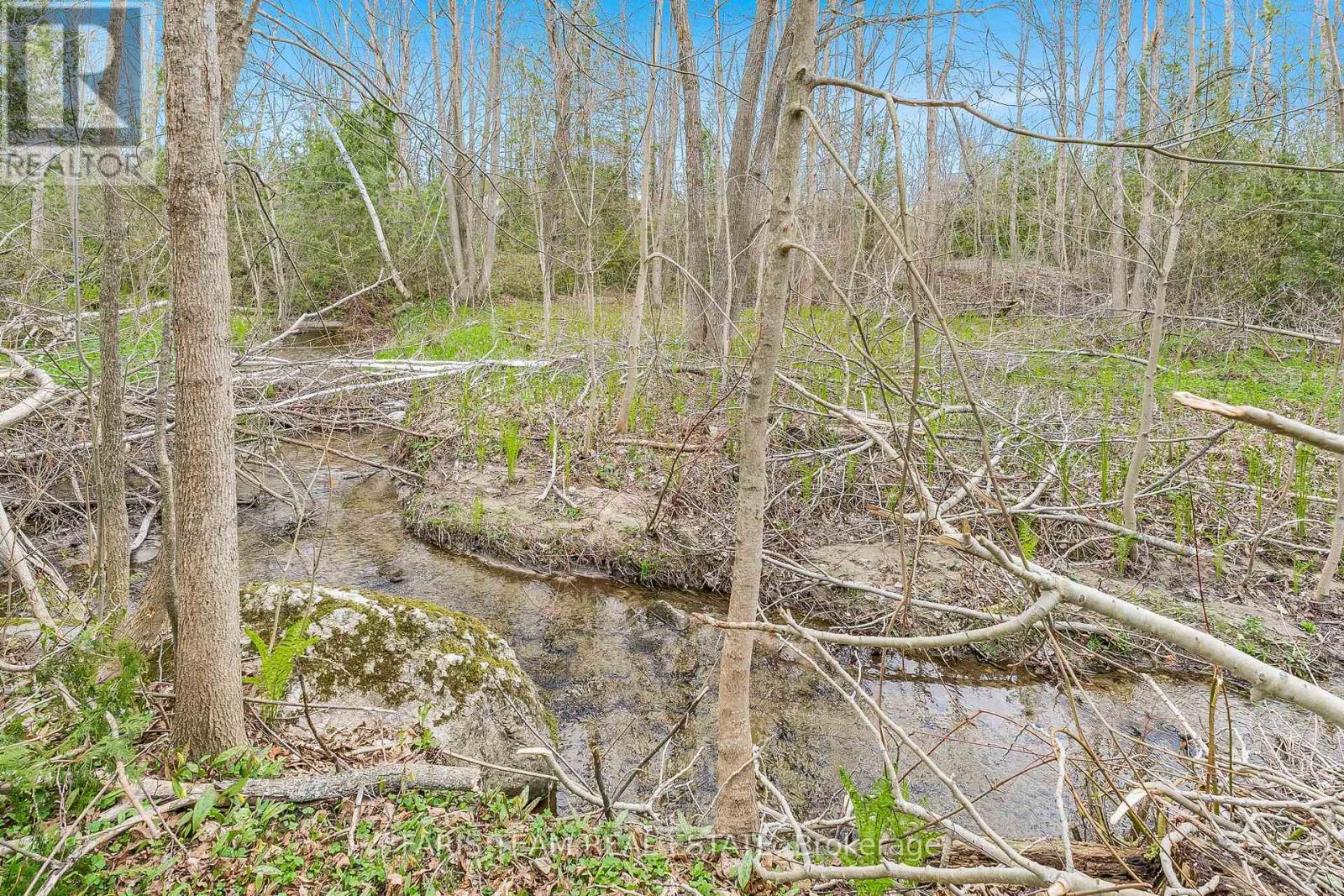 168 Lakeshore Road W, Oro-Medonte, Ontario  L0L 2E0 - Photo 22 - S12133105