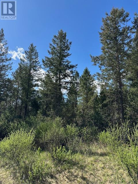 27 Cooper Road Lot# 27, Windermere, British Columbia  V0B 2L0 - Photo 2 - 10330644