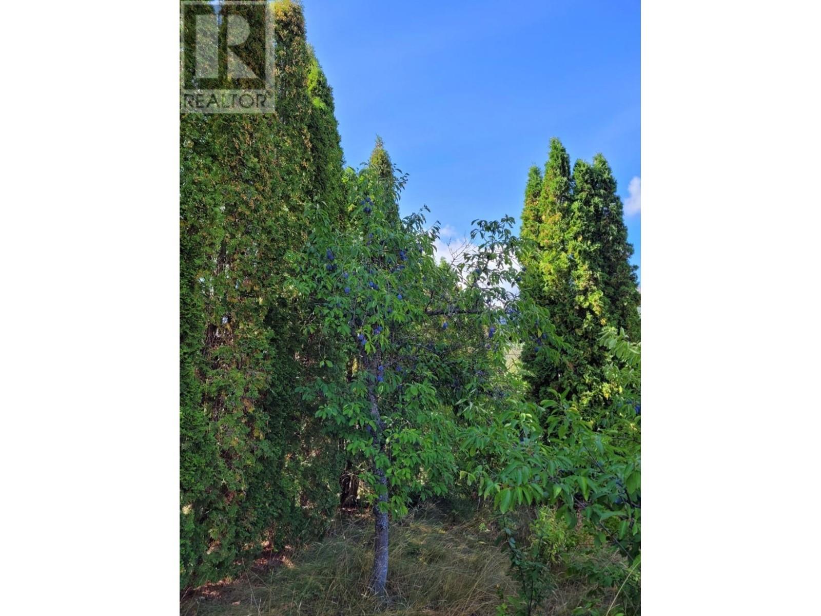 3216 Birch Island Lost Crk Road, Clearwater, British Columbia  V0E 3A0 - Photo 13 - 10347000