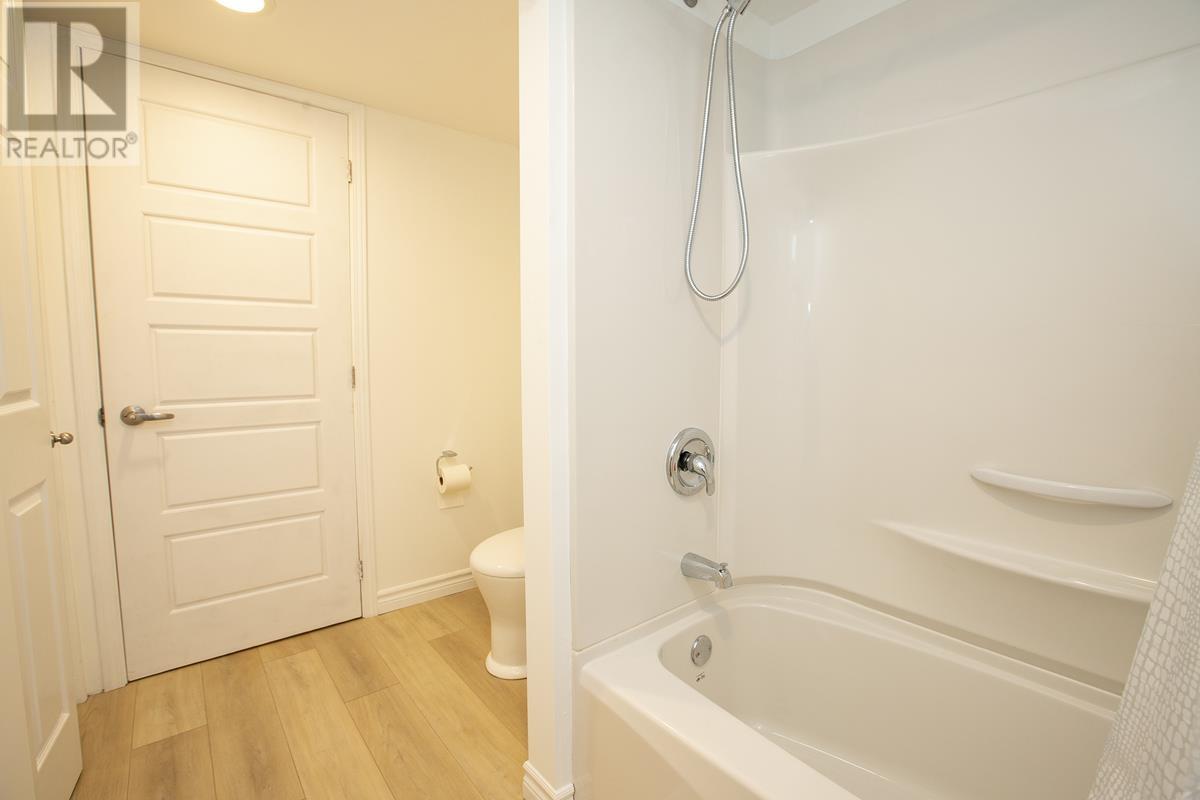 382 Elizabeth St, Sault Ste. Marie, Ontario  P6B 3H4 - Photo 50 - SM251017
