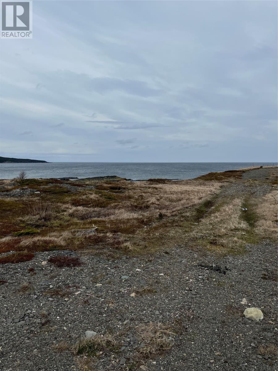 1c Main Road, Hodderville, Newfoundland & Labrador  A0C 1T0 - Photo 5 - 1284808