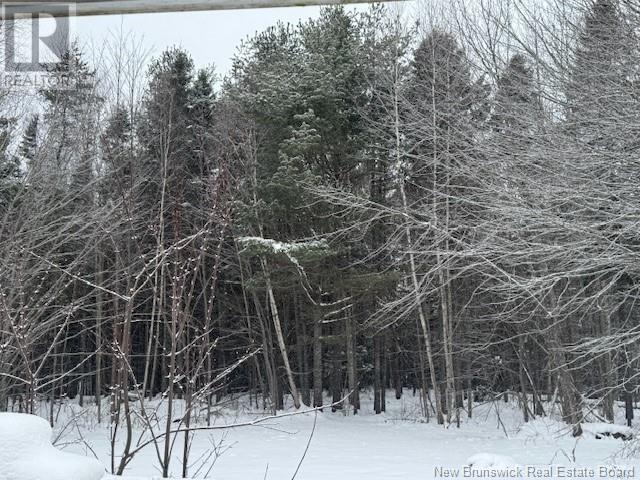 901 Wedgewood Extension Avenue, Riverview, New Brunswick  E1B 2G4 - Photo 17 - NB118084