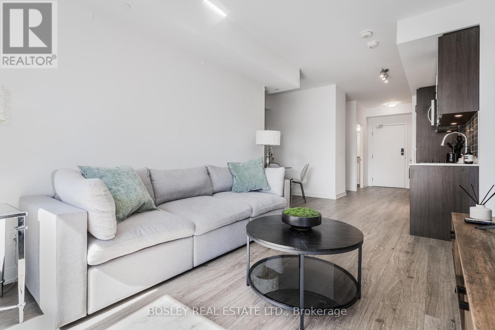 314 - 543 Richmond Street W, Toronto, Ontario  M5V 1Y6 - Photo 3 - C12134818