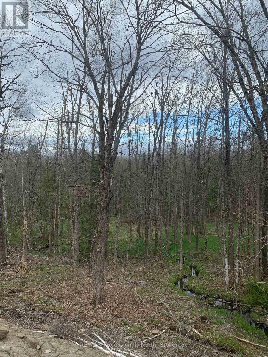 3052 DEEP BAY ROAD, Minden Hills, Ontario