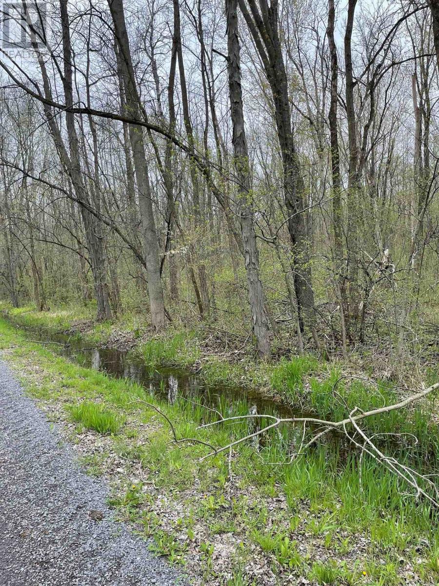 Lot 1 Townline Road, Loyalist, Ontario  K0H 1G0 - Photo 3 - X12126439