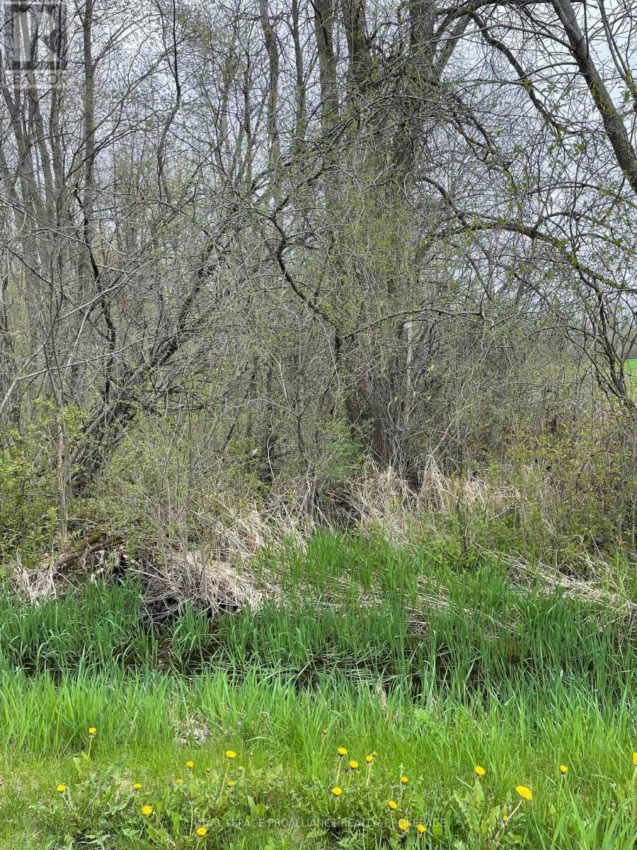 Lot 1 Townline Road, Loyalist, Ontario  K0H 1G0 - Photo 4 - X12126439