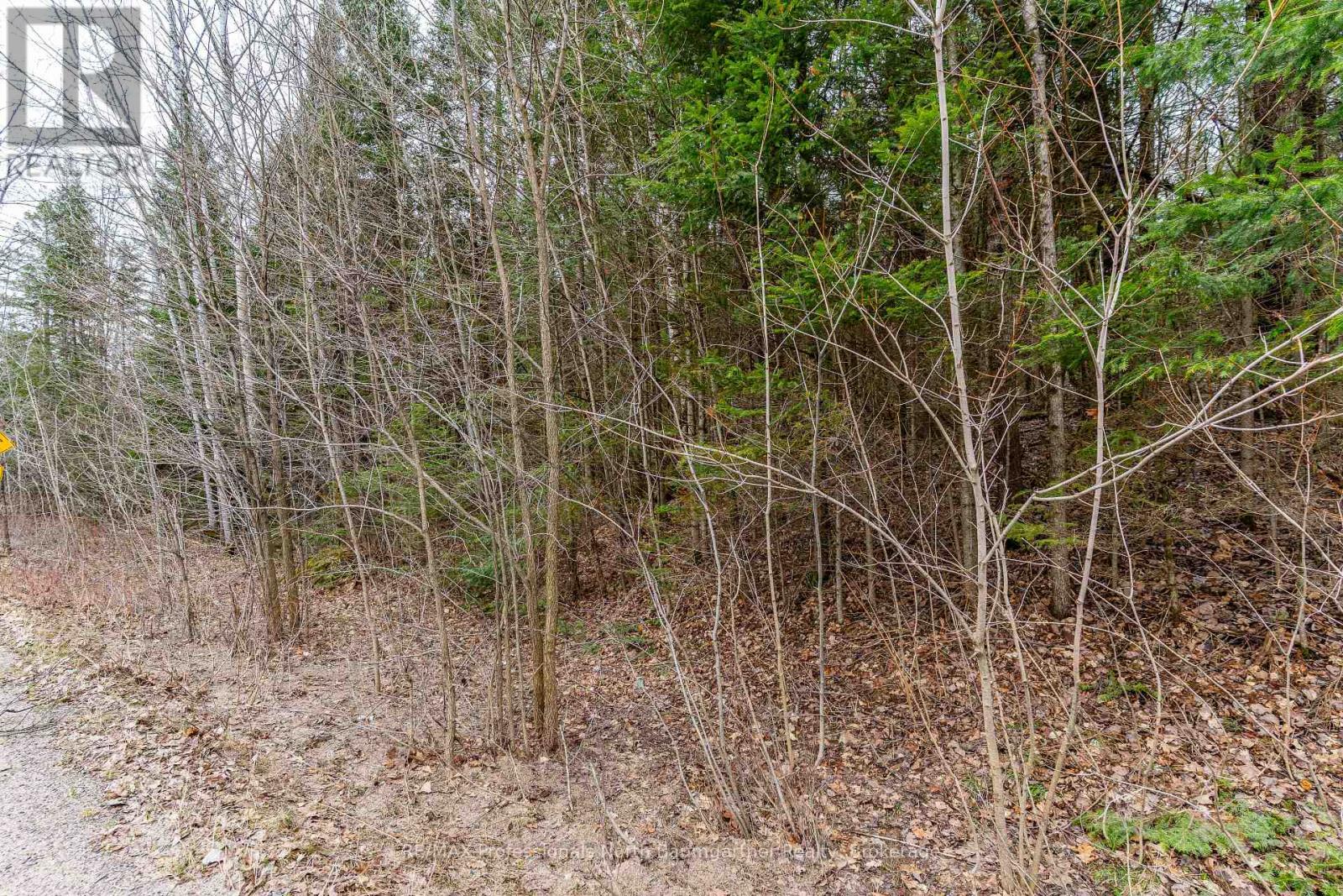 0 Glamorgan Road, Highlands East, Ontario  K0M 1R0 - Photo 9 - X12134997