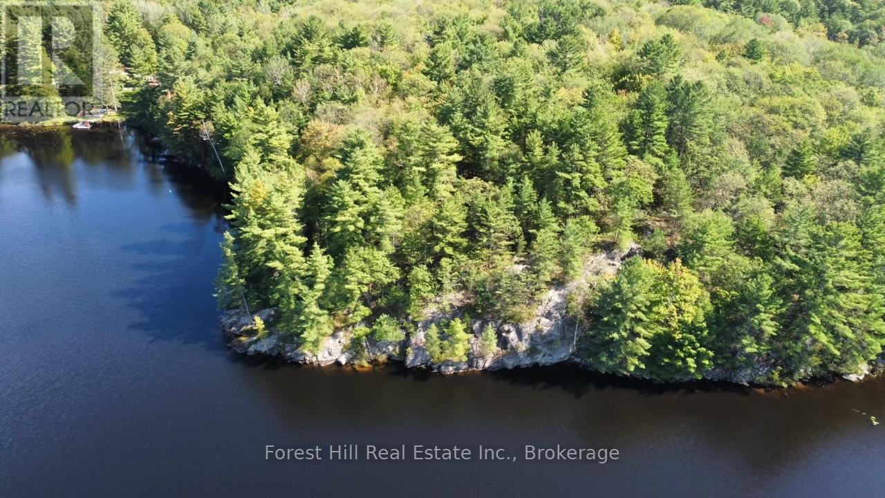 0 Clear Lake Road, Muskoka Lakes, Ontario  P0C 1A0 - Photo 11 - X12135108