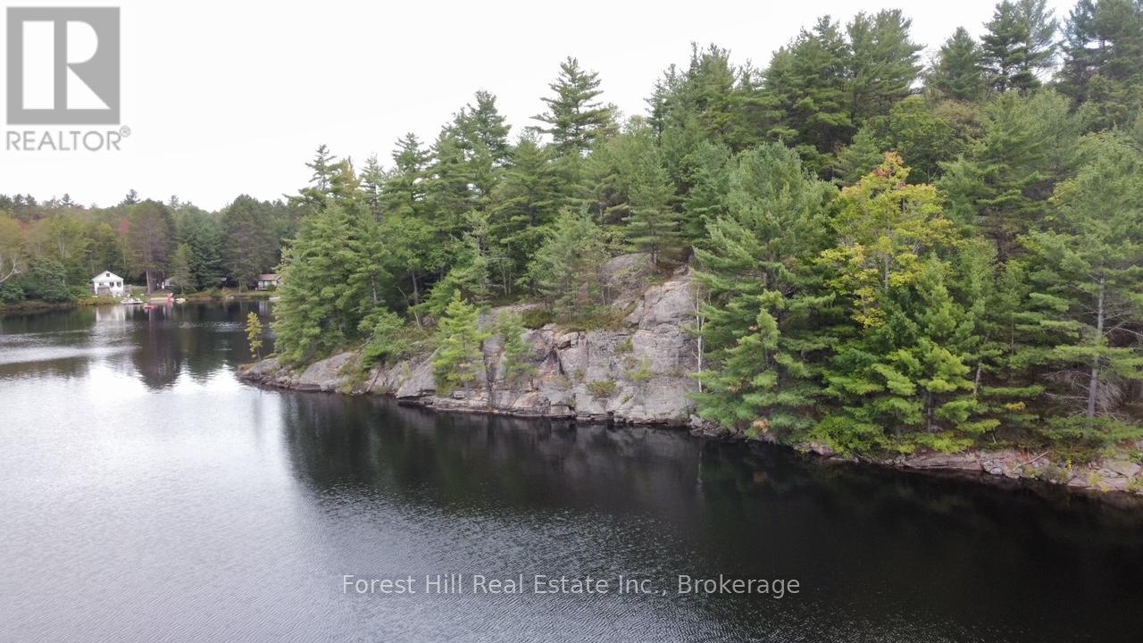 0 Clear Lake Road, Muskoka Lakes, Ontario  P0C 1A0 - Photo 12 - X12135108