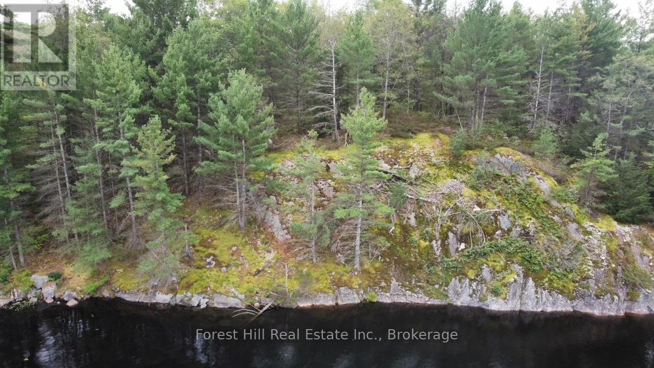 0 Clear Lake Road, Muskoka Lakes, Ontario  P0C 1A0 - Photo 13 - X12135108