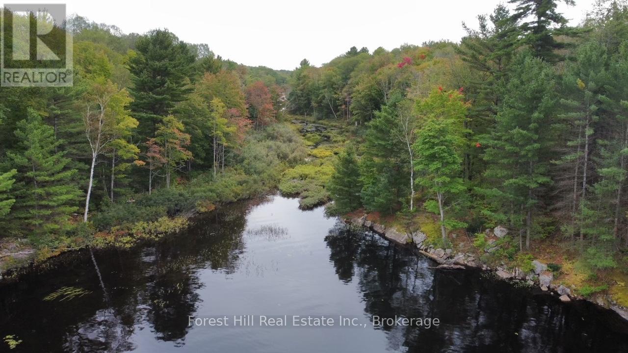 0 Clear Lake Road, Muskoka Lakes, Ontario  P0C 1A0 - Photo 14 - X12135108