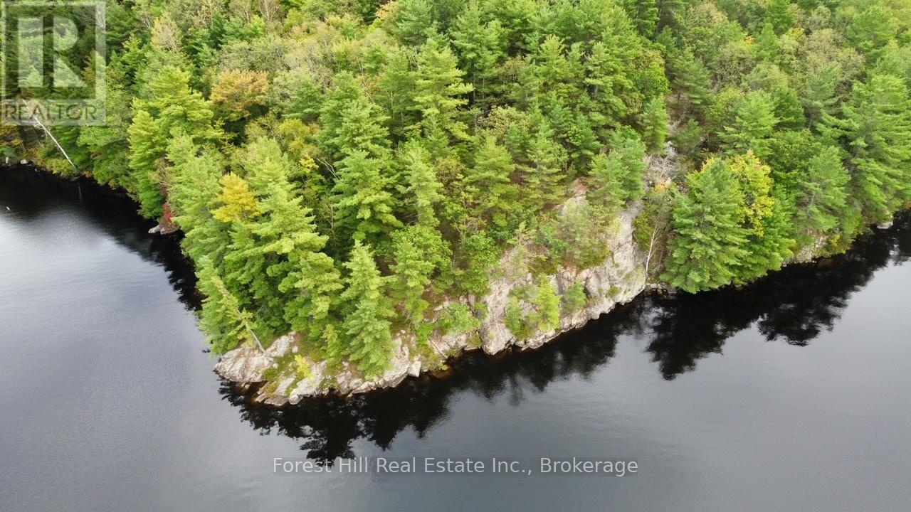 0 Clear Lake Road, Muskoka Lakes, Ontario  P0C 1A0 - Photo 15 - X12135108