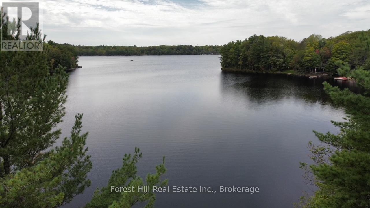 0 Clear Lake Road, Muskoka Lakes, Ontario  P0C 1A0 - Photo 16 - X12135108