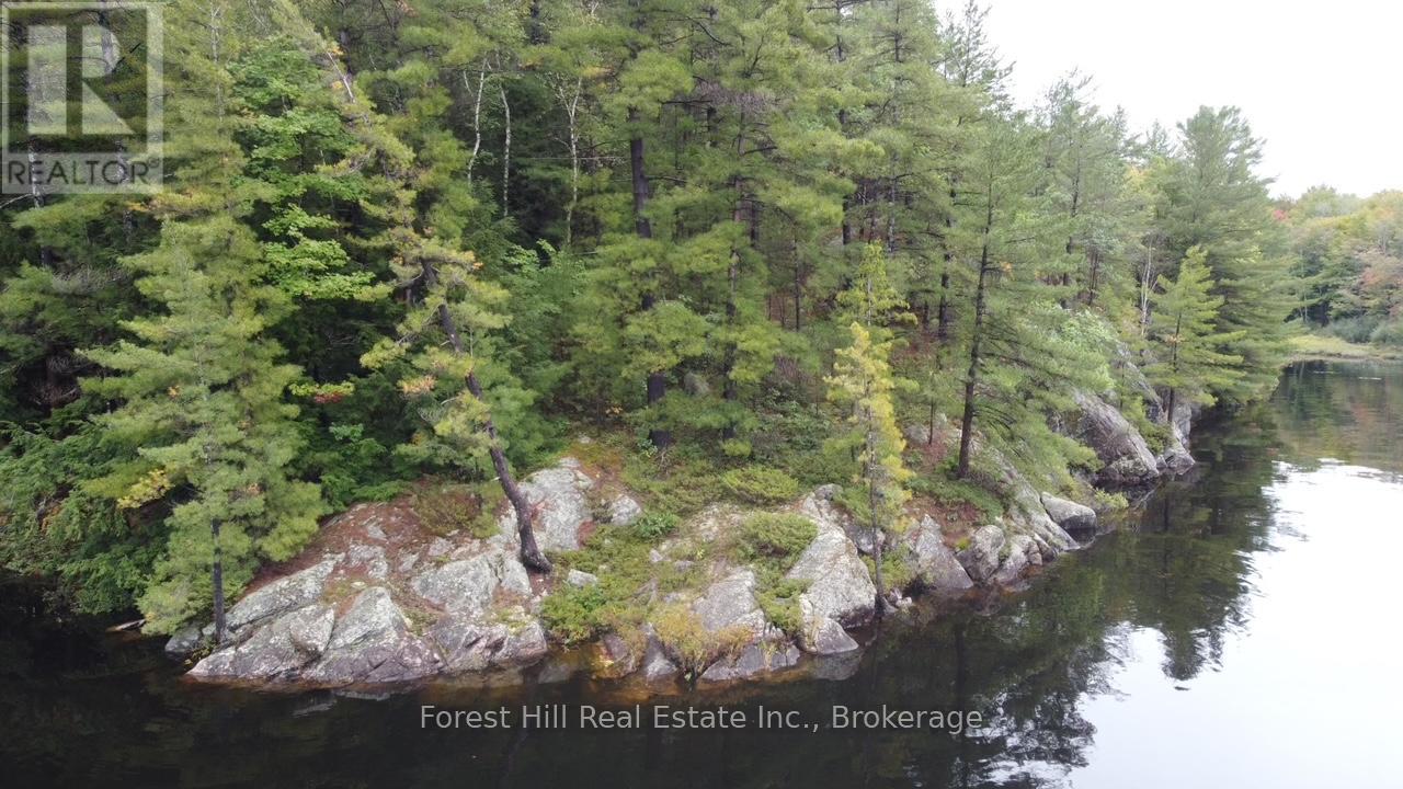 0 Clear Lake Road, Muskoka Lakes, Ontario  P0C 1A0 - Photo 17 - X12135108