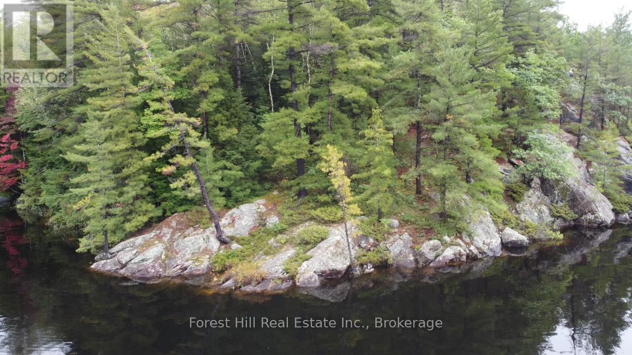 0 Clear Lake Road, Muskoka Lakes, Ontario  P0C 1A0 - Photo 18 - X12135108