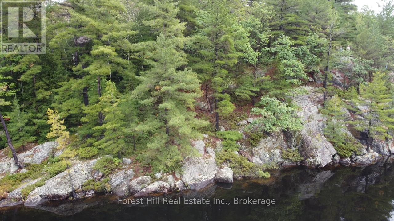 0 Clear Lake Road, Muskoka Lakes, Ontario  P0C 1A0 - Photo 19 - X12135108