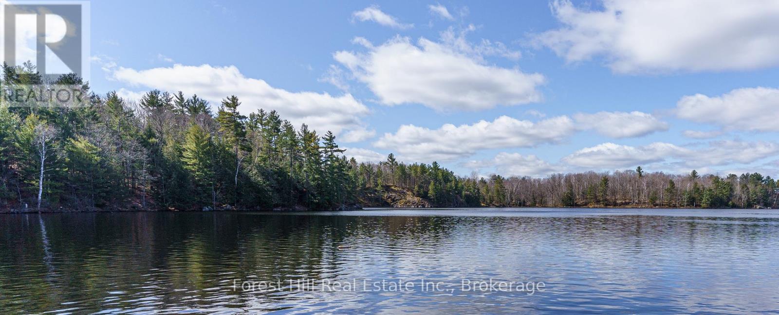 0 Clear Lake Road, Muskoka Lakes, Ontario  P0C 1A0 - Photo 2 - X12135108