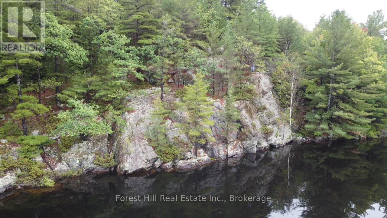 0 Clear Lake Road, Muskoka Lakes, Ontario  P0C 1A0 - Photo 20 - X12135108
