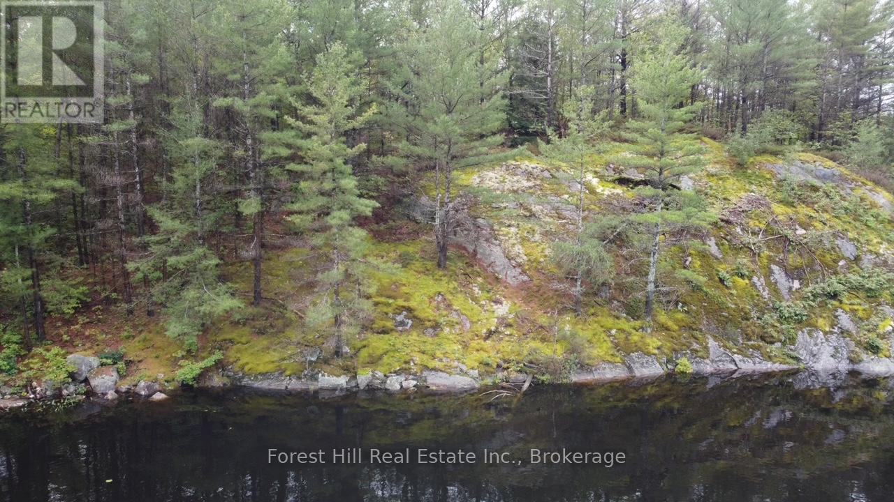0 Clear Lake Road, Muskoka Lakes, Ontario  P0C 1A0 - Photo 21 - X12135108
