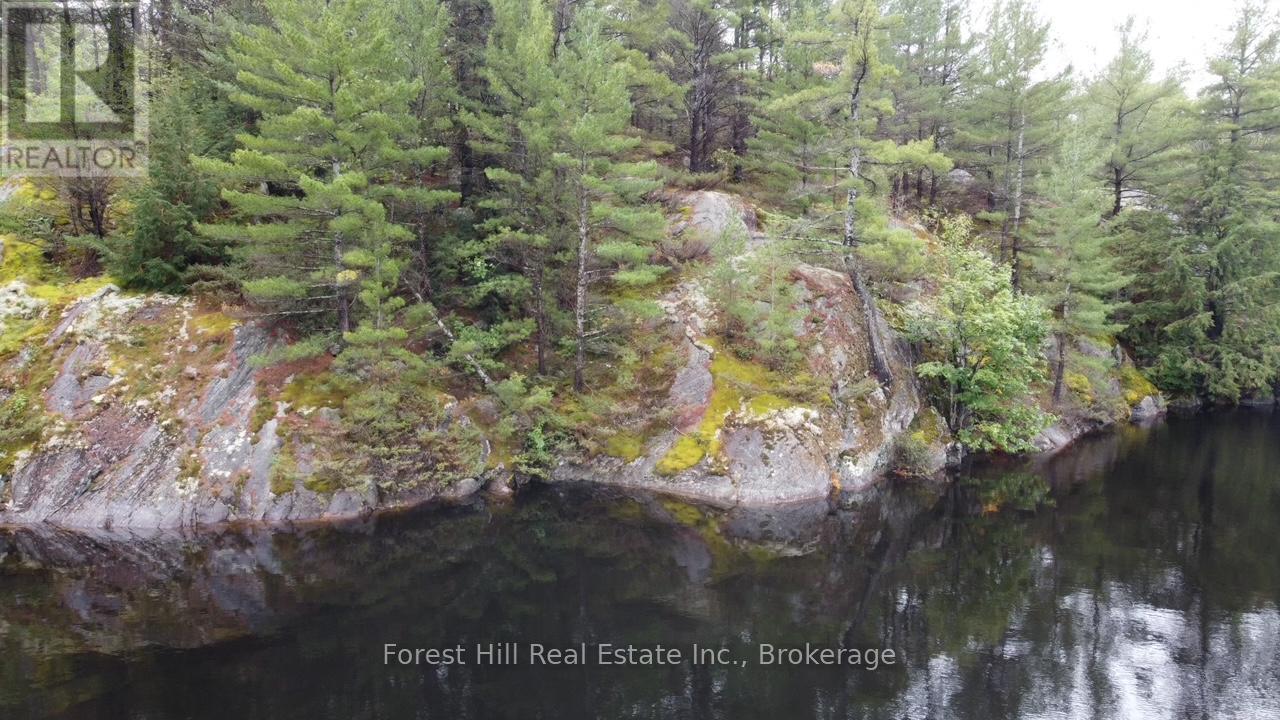 0 Clear Lake Road, Muskoka Lakes, Ontario  P0C 1A0 - Photo 22 - X12135108