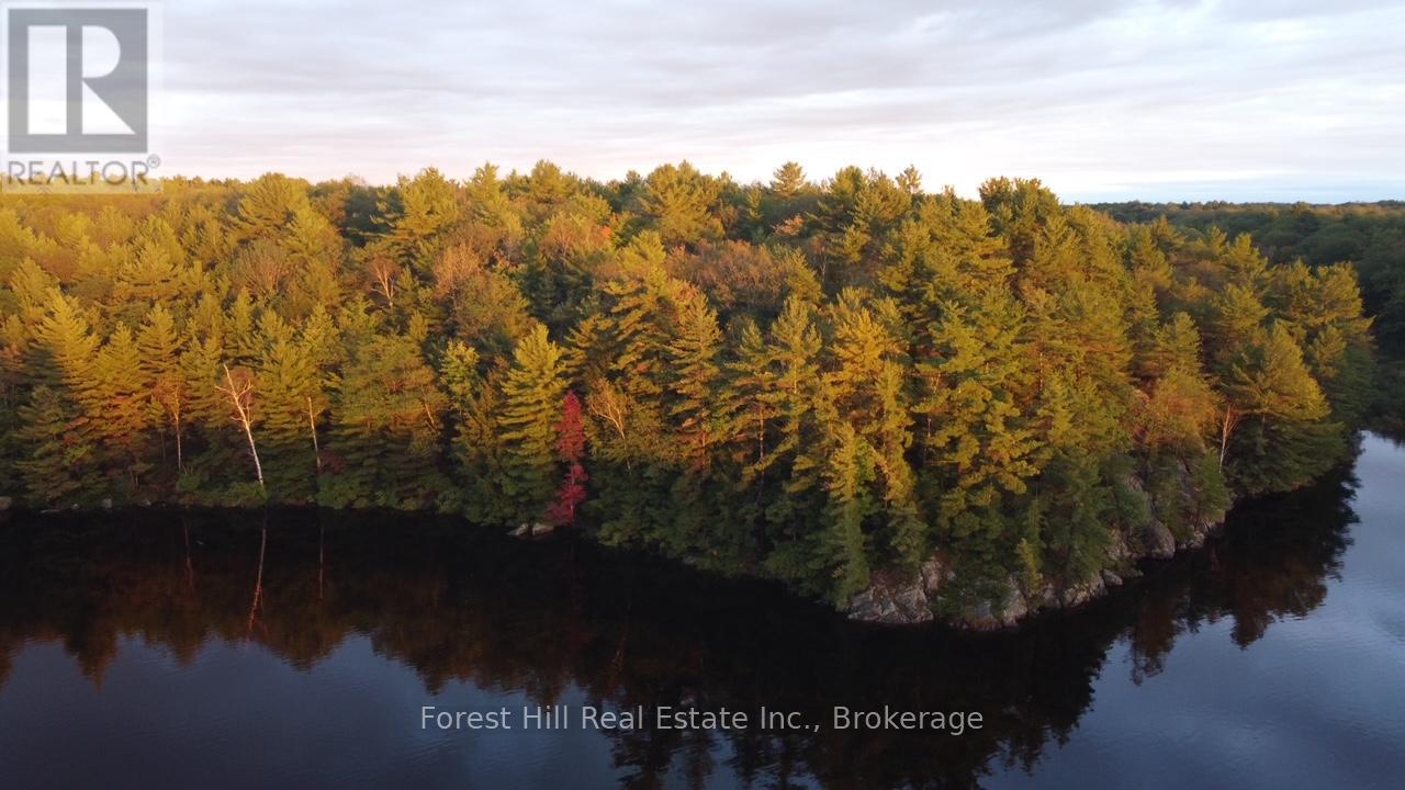 0 Clear Lake Road, Muskoka Lakes, Ontario  P0C 1A0 - Photo 24 - X12135108