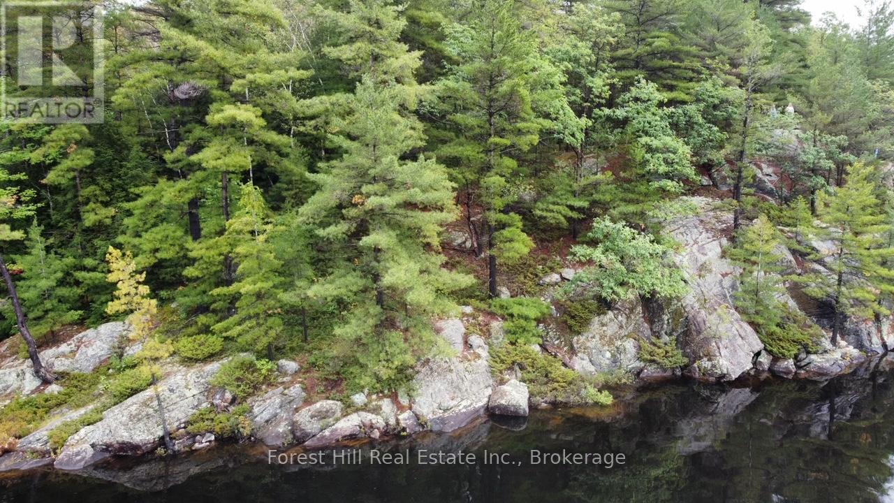 0 Clear Lake Road, Muskoka Lakes, Ontario  P0C 1A0 - Photo 28 - X12135108