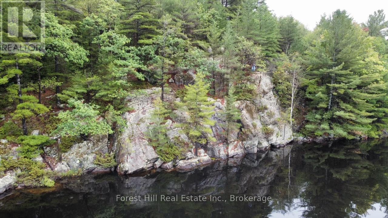 0 Clear Lake Road, Muskoka Lakes, Ontario  P0C 1A0 - Photo 29 - X12135108