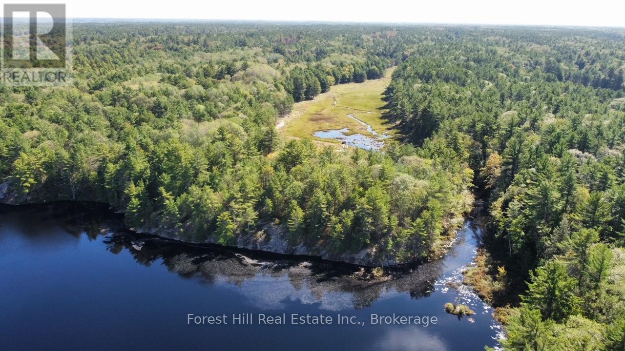 0 Clear Lake Road, Muskoka Lakes, Ontario  P0C 1A0 - Photo 3 - X12135108