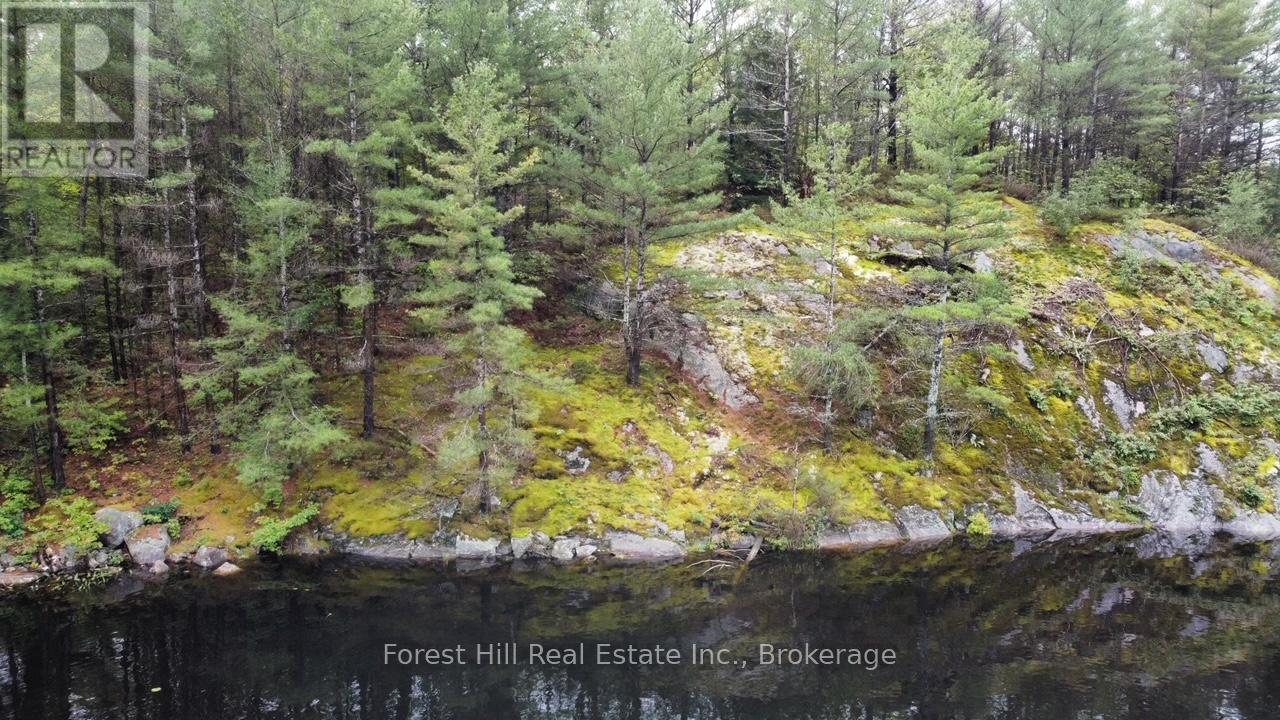 0 Clear Lake Road, Muskoka Lakes, Ontario  P0C 1A0 - Photo 30 - X12135108
