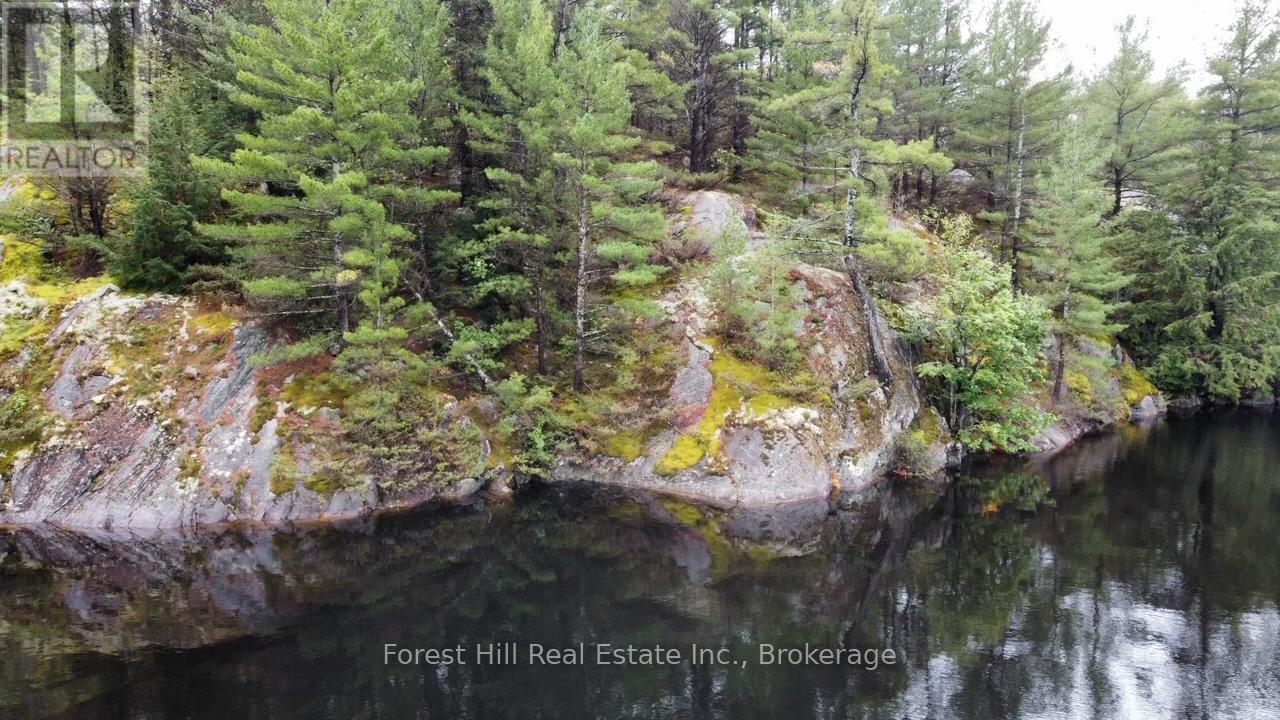 0 Clear Lake Road, Muskoka Lakes, Ontario  P0C 1A0 - Photo 31 - X12135108