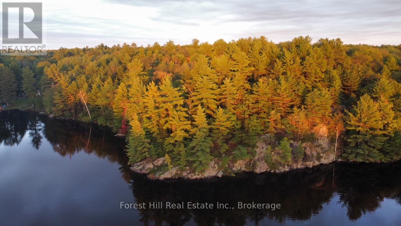 0 Clear Lake Road, Muskoka Lakes, Ontario  P0C 1A0 - Photo 34 - X12135108