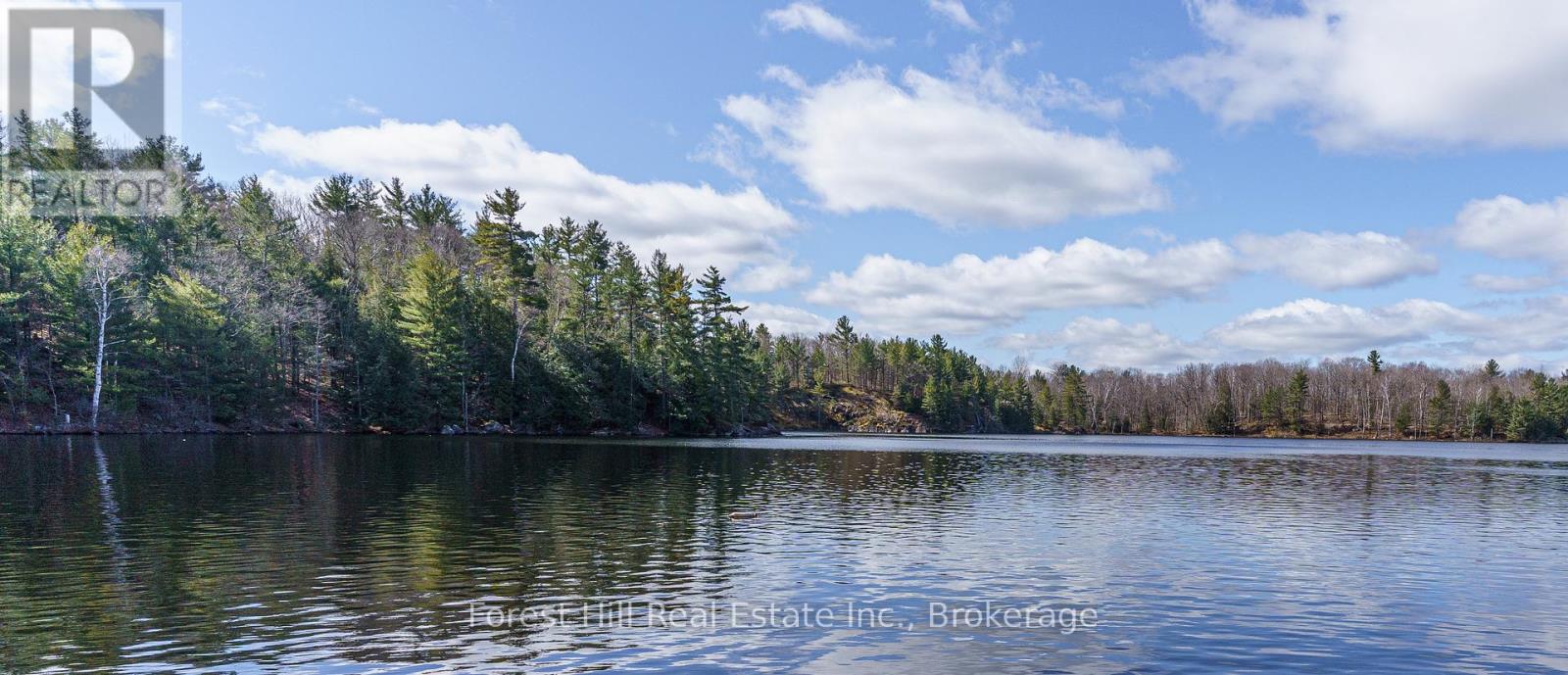 0 Clear Lake Road, Muskoka Lakes, Ontario  P0C 1A0 - Photo 4 - X12135108