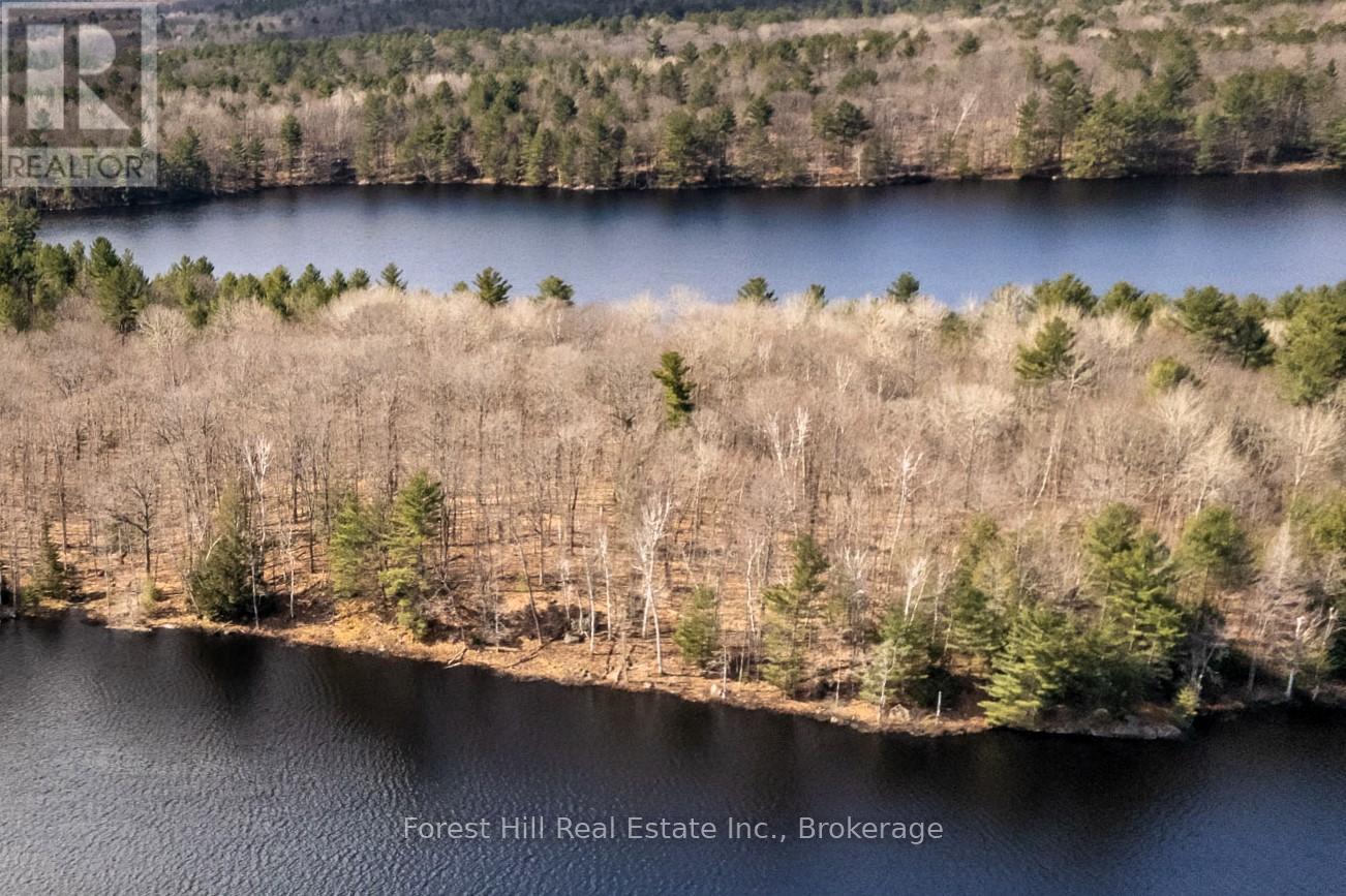 0 Clear Lake Road, Muskoka Lakes, Ontario  P0C 1A0 - Photo 47 - X12135108