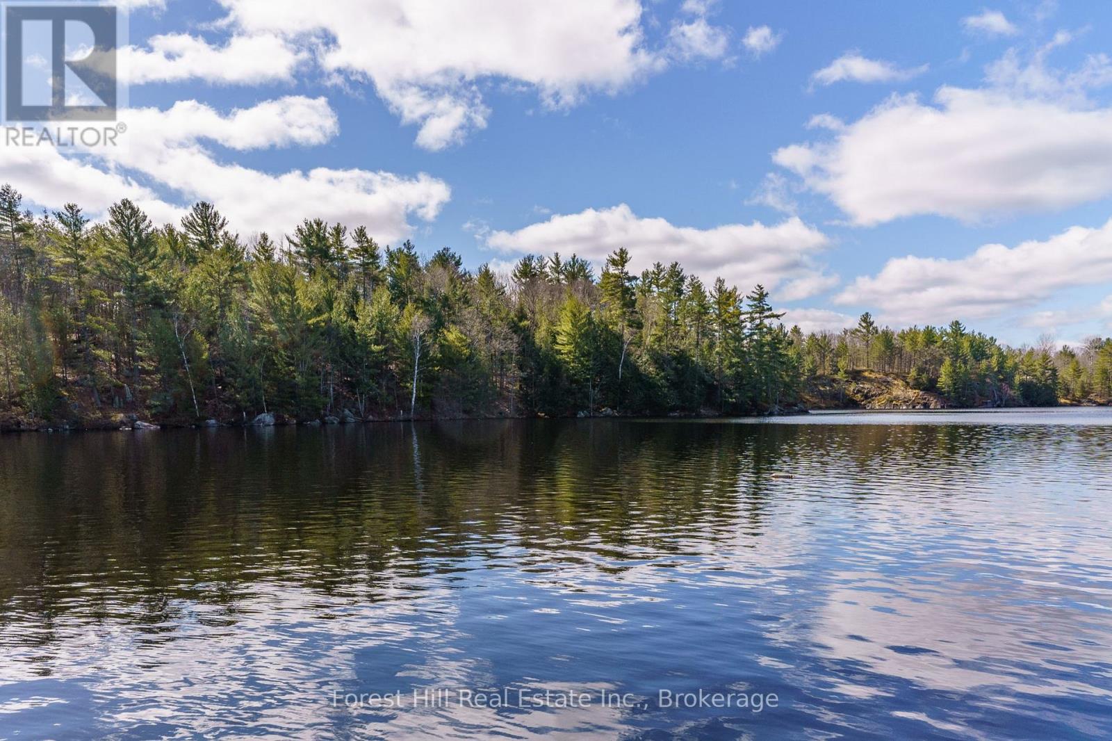 0 Clear Lake Road, Muskoka Lakes, Ontario  P0C 1A0 - Photo 5 - X12135108