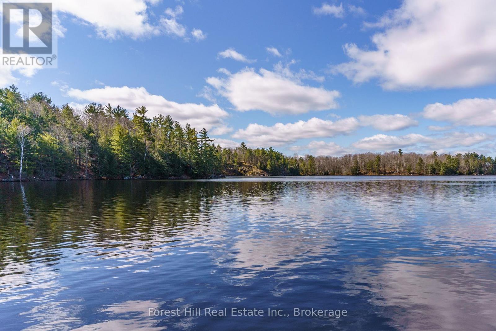 0 Clear Lake Road, Muskoka Lakes, Ontario  P0C 1A0 - Photo 6 - X12135108