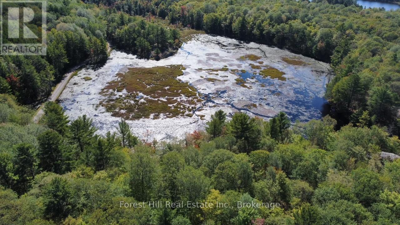 0 Clear Lake Road, Muskoka Lakes, Ontario  P0C 1A0 - Photo 8 - X12135108