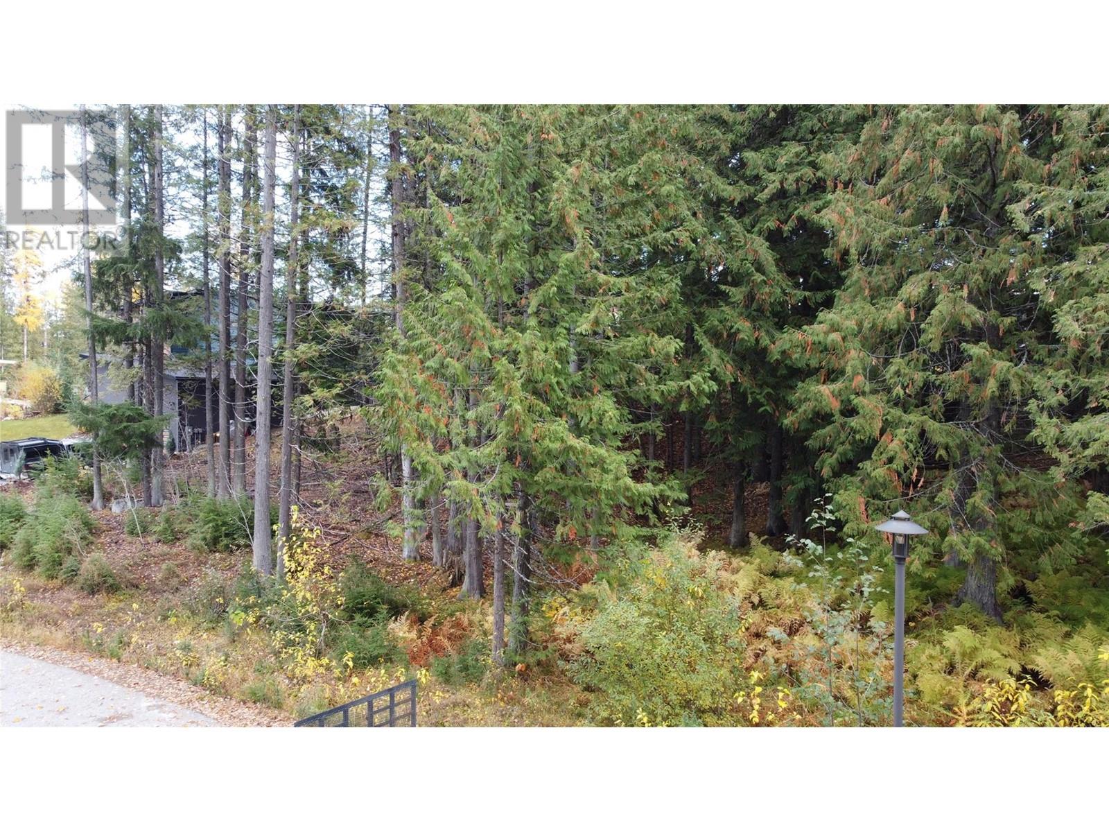 210 Cedar Creek Place, Rossland, British Columbia  V0G 1Y0 - Photo 26 - 10327718