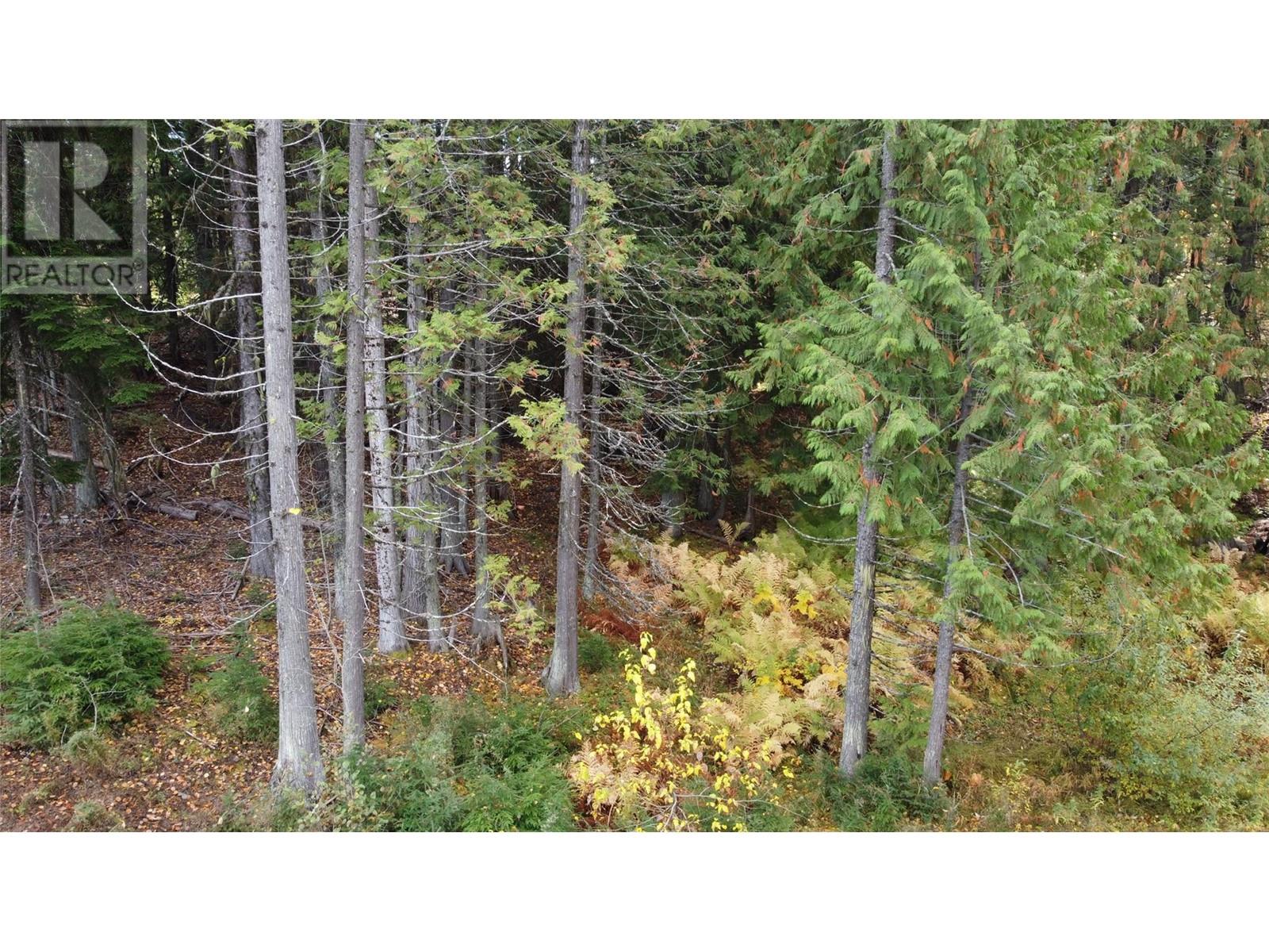 210 Cedar Creek Place, Rossland, British Columbia  V0G 1Y0 - Photo 25 - 10327718